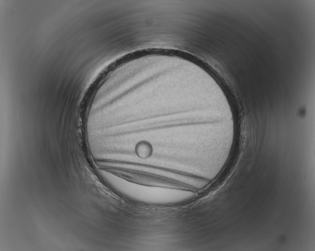 X0000116770926201001071213