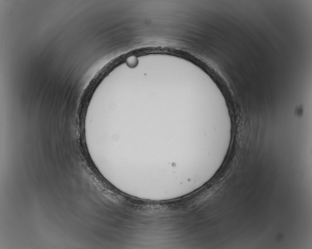 X0000116770927201001071213