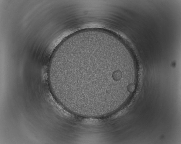 X0000116770929201001071213