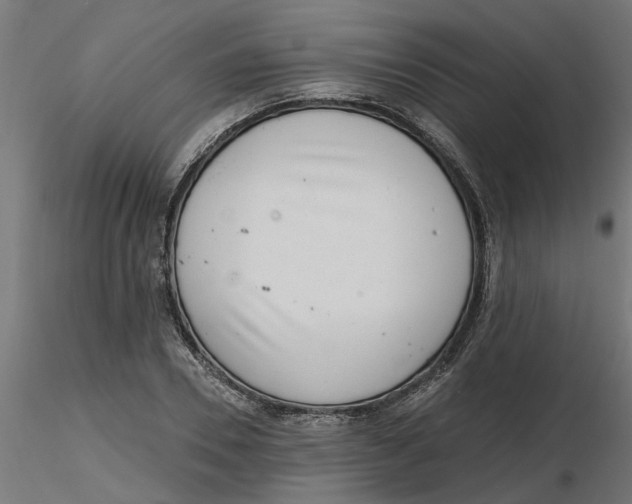 X0000116770930201001071213