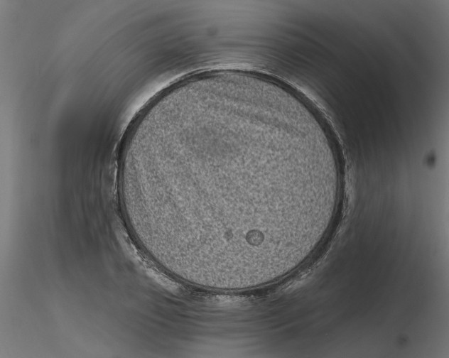 X0000116770933201001071213