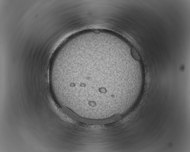 X0000116770934201001071213