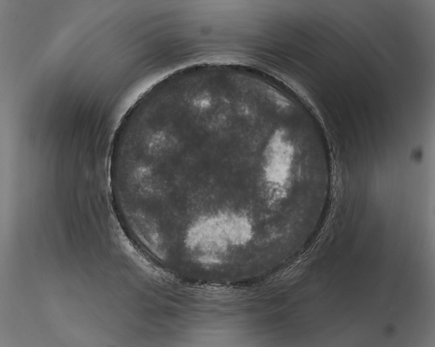 X0000116770935201001071213