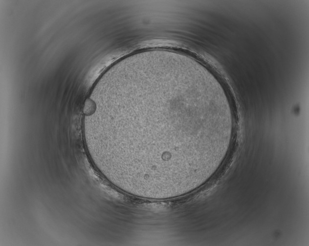 X0000116770937201001071213