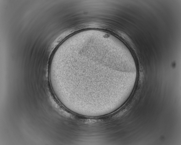 X0000116770938201001071213