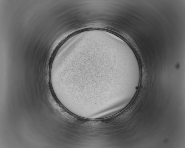 X0000116770939201001071213