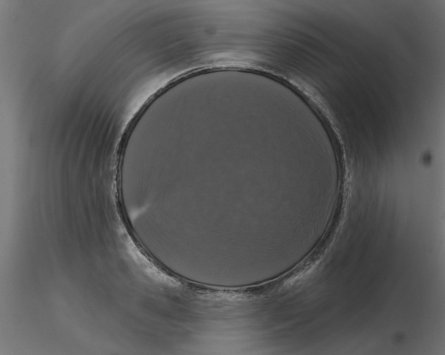 X0000116770941201001071213