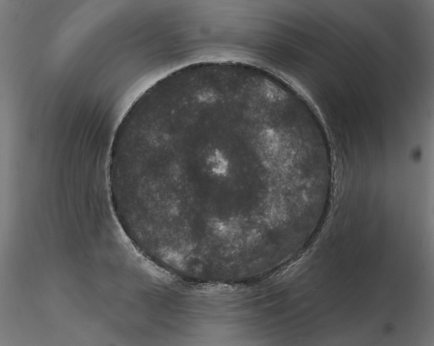 X0000116770943201001071213