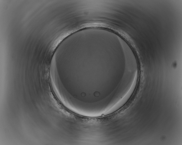 X0000116770945201001071213