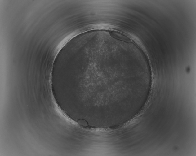 X0000116770946201001071213