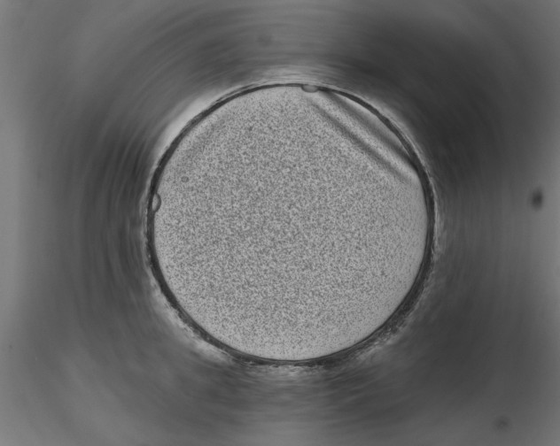 X0000116770949201001071213