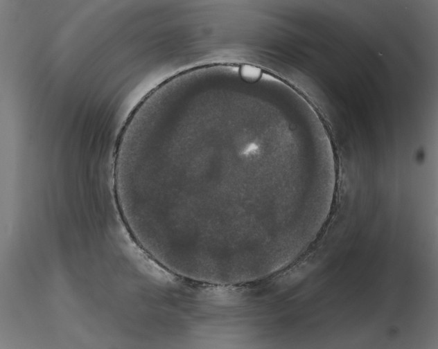 X0000116770950201001071213