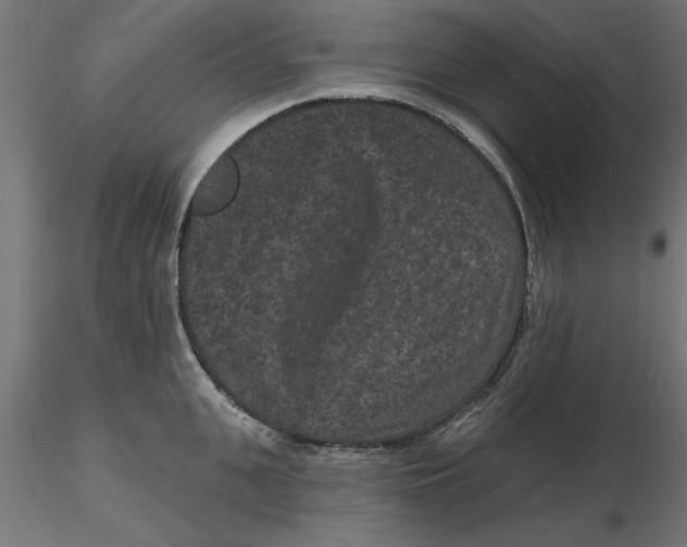 X0000116770951201001071213