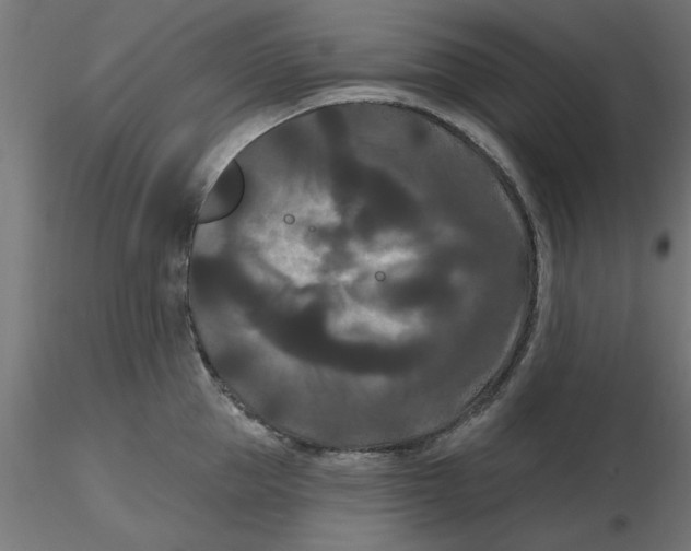 X0000116770953201001071213