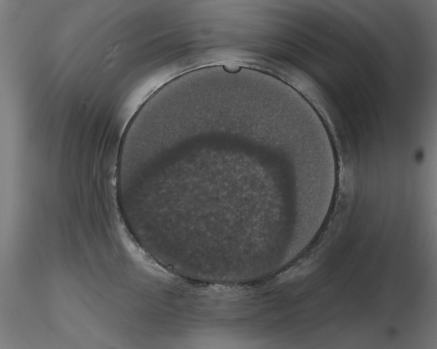 X0000116770954201001071213