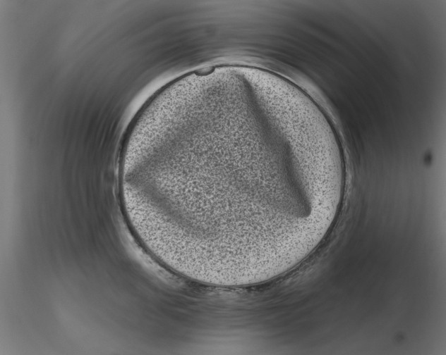 X0000116770955201001071213