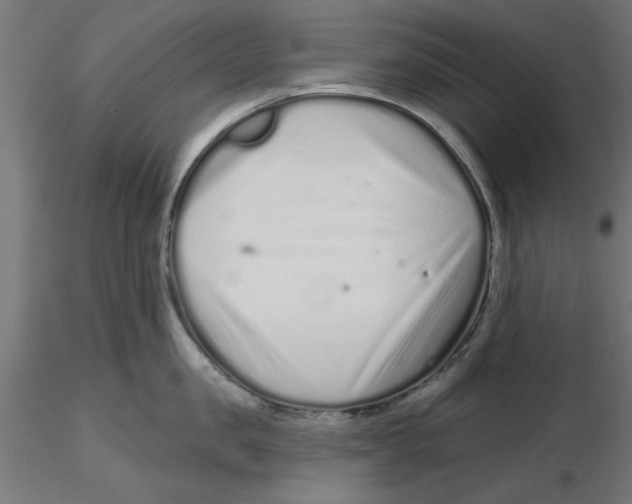 X0000116770957201001071213