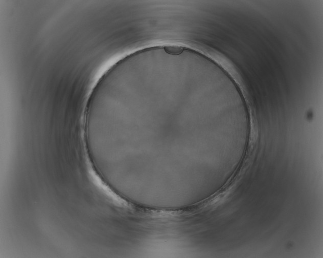 X0000116770958201001071213