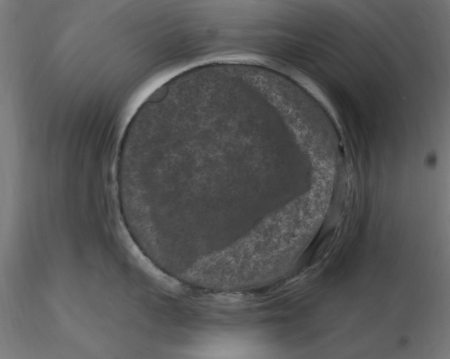 X0000116770959201001071213