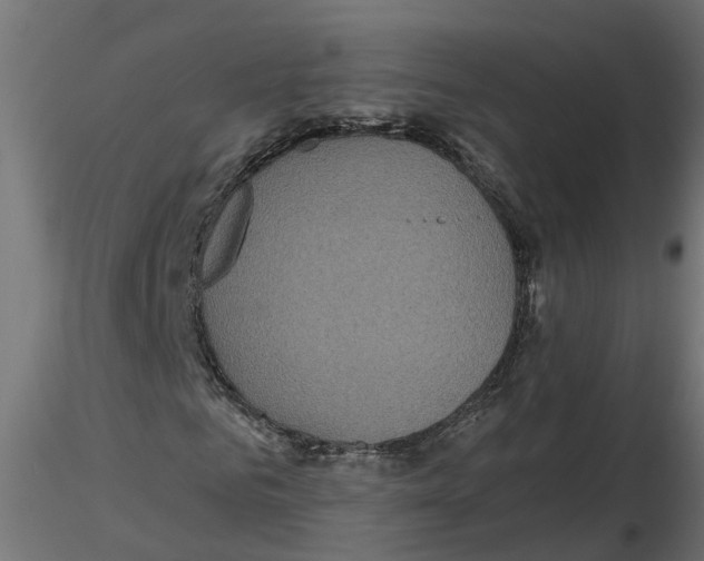 X0000116770961201001071213