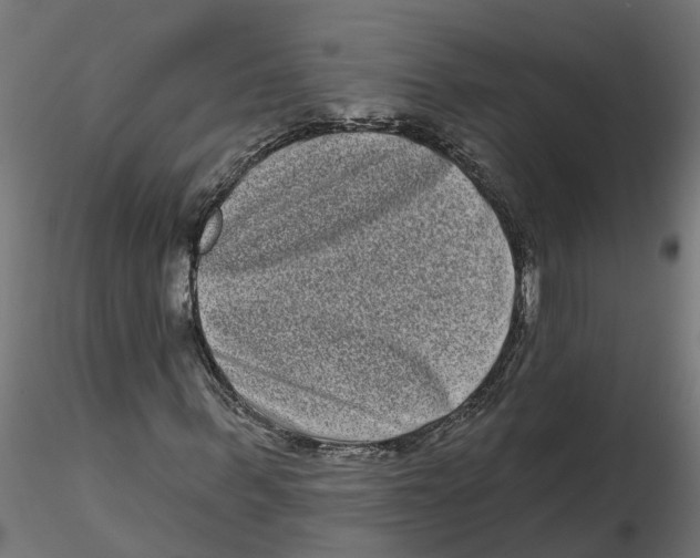 X0000116770963201001071213