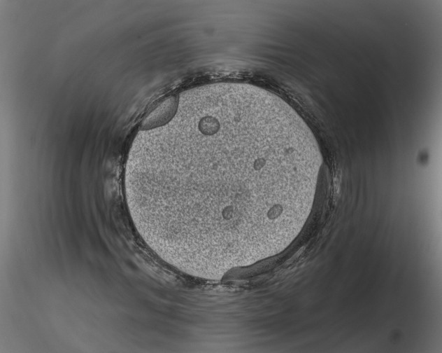 X0000116770964201001071213