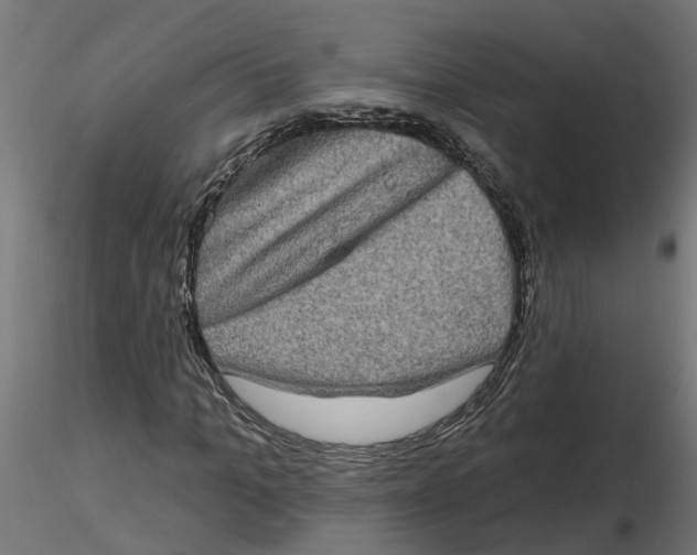 X0000116770965201001071213