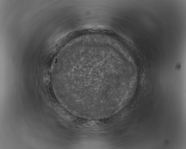 X0000116770966201001071213