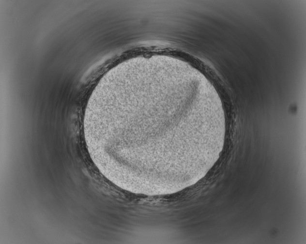 X0000116770967201001071213