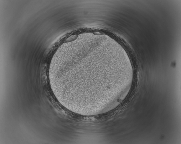 X0000116770968201001071213