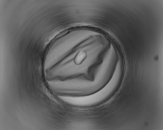 X0000116770969201001071213