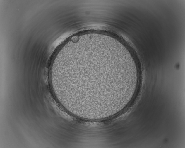 X0000116770970201001071213