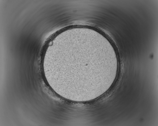 X0000116770971201001071213