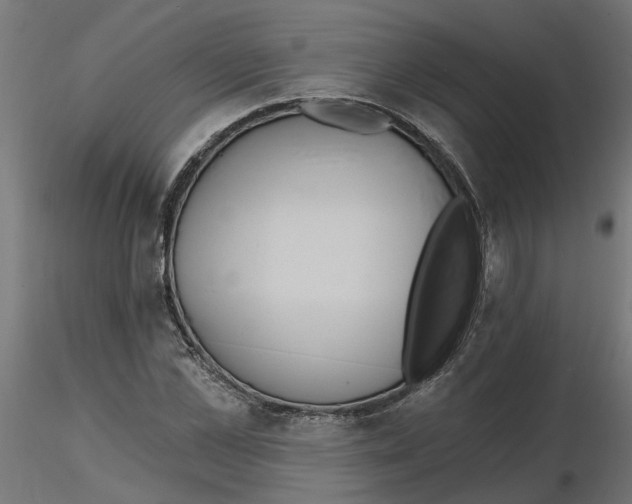 X0000116770973201001071213