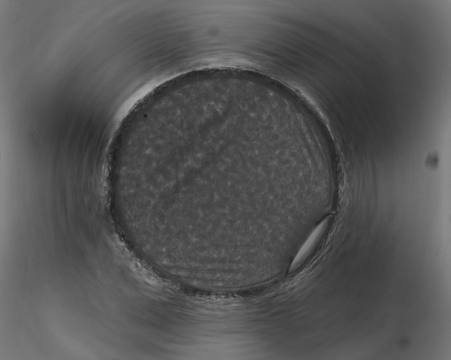 X0000116770975201001071212