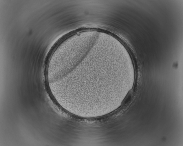 X0000116770976201001071212