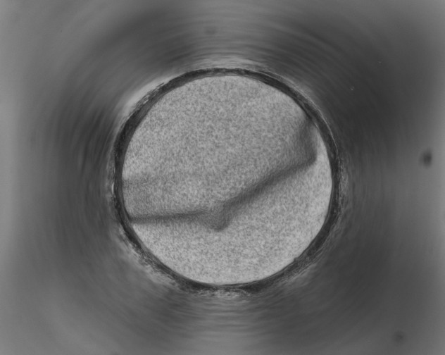 X0000116770979201001071212