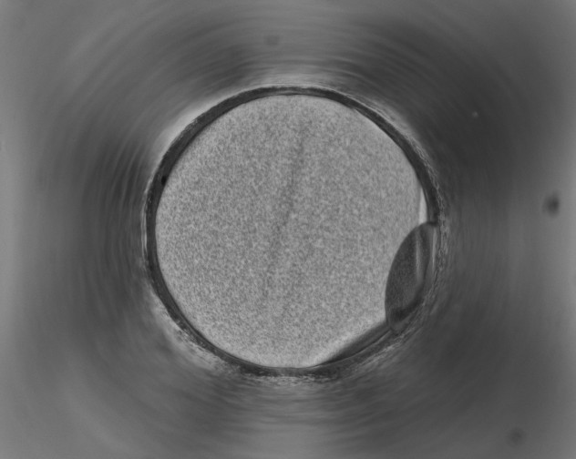 X0000116770980201001071212