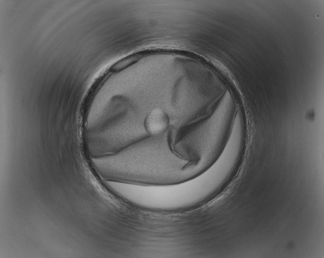 X0000116770981201001071212