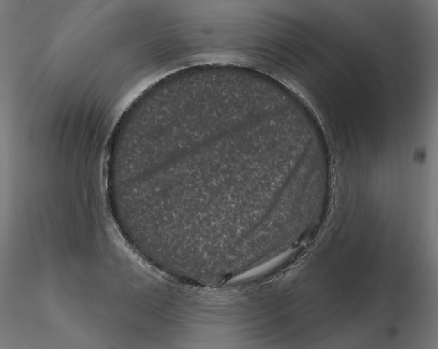 X0000116770983201001071212