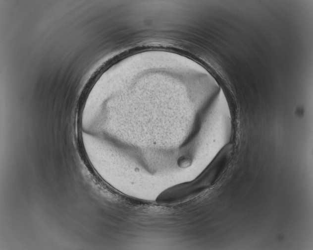 X0000116770984201001071212