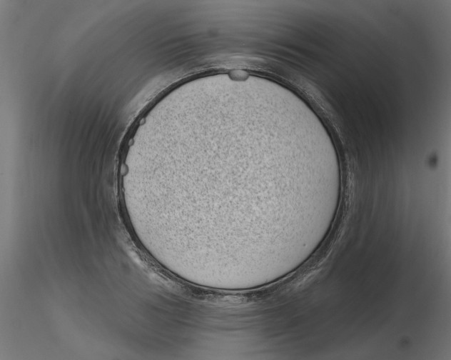 X0000116770986201001071212