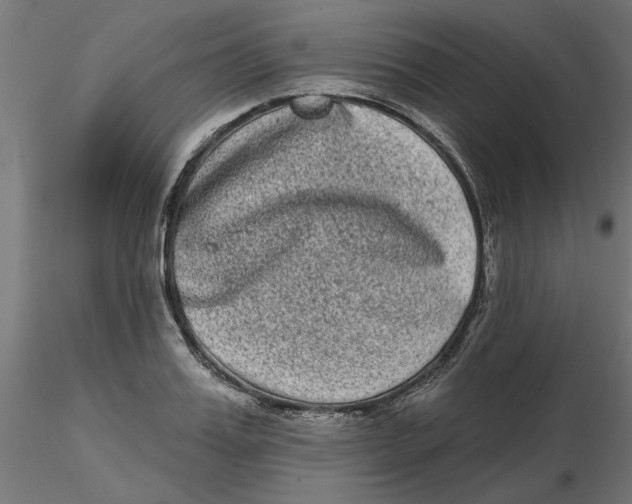 X0000116770987201001071212