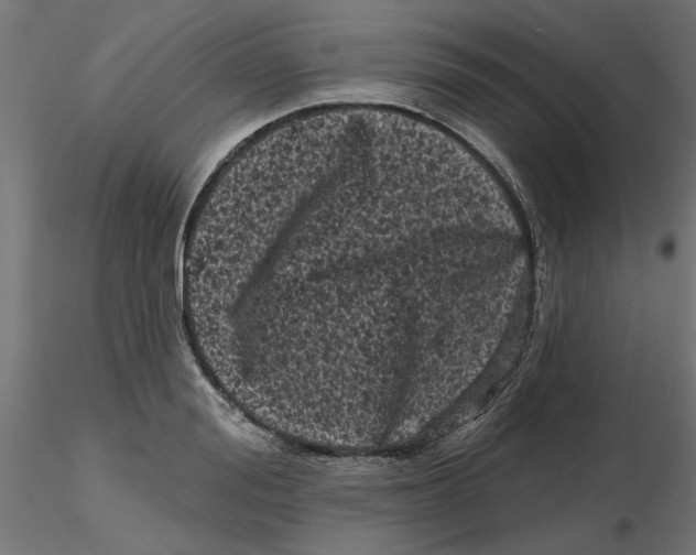 X0000116770988201001071212