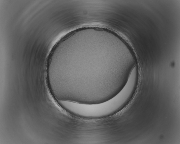 X0000116770989201001071212