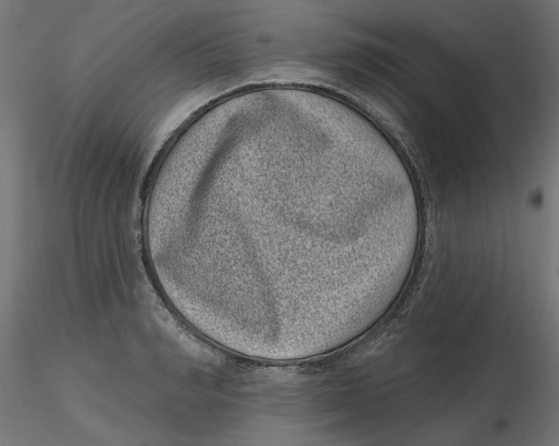 X0000116770990201001071212