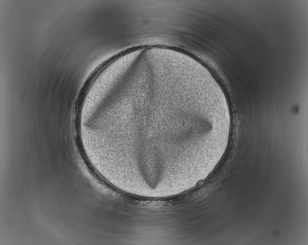 X0000116770991201001071212