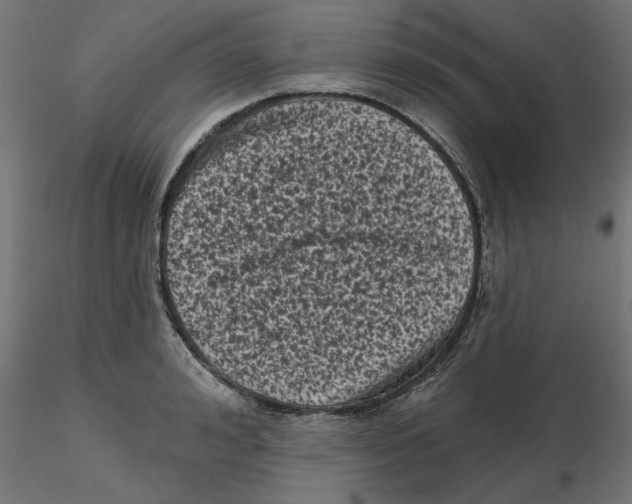 X0000116770992201001071212