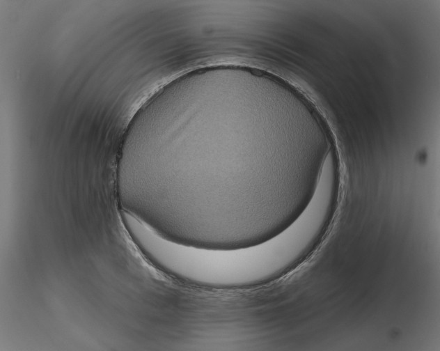 X0000116770993201001071212