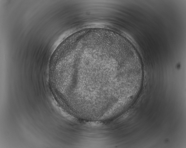 X0000116770994201001071212